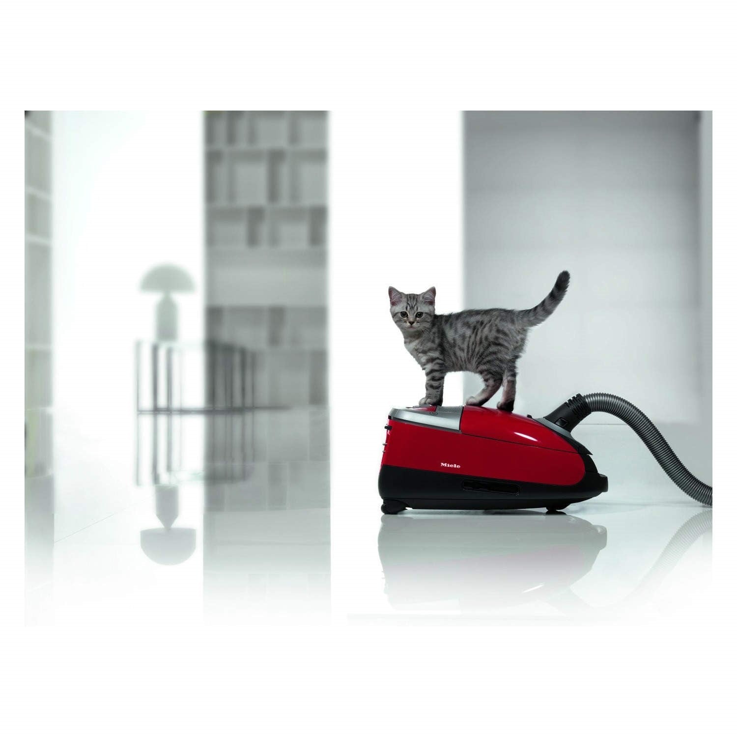 Miele C2 Cat & Dog Complete Cylinder Vacuum Cleaner - Red