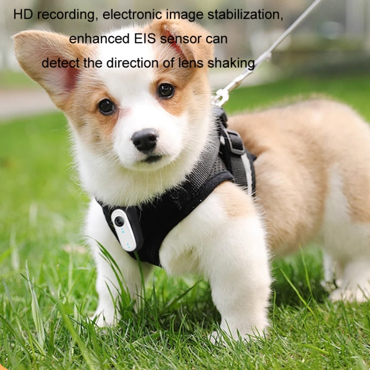 HD Outdoor Portable Pet Recorder Cycling Sports Camera, No TF Card, With 32G TF Card, With Silicone Collar, With Silicone Collar+32G TF Card