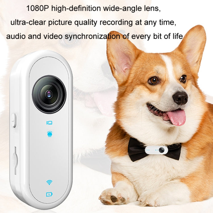HD Outdoor Portable Pet Recorder Cycling Sports Camera, No TF Card, With 32G TF Card, With Silicone Collar, With Silicone Collar+32G TF Card