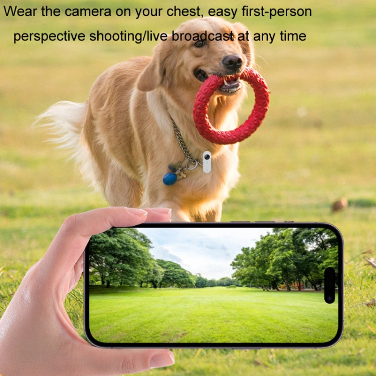 HD Outdoor Portable Pet Recorder Cycling Sports Camera, No TF Card, With 32G TF Card, With Silicone Collar, With Silicone Collar+32G TF Card