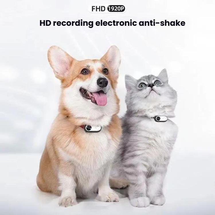 Pet Recorder With Collar Cat Dog View Camera, Direct Record No Memory Card, Direct Record With 16G Memory Card, Direct Record With 32G Memory Card, Direct Record With 64G Memory Card, Direct Record With 128G Memory Card, WiFi No Memory Card������������...